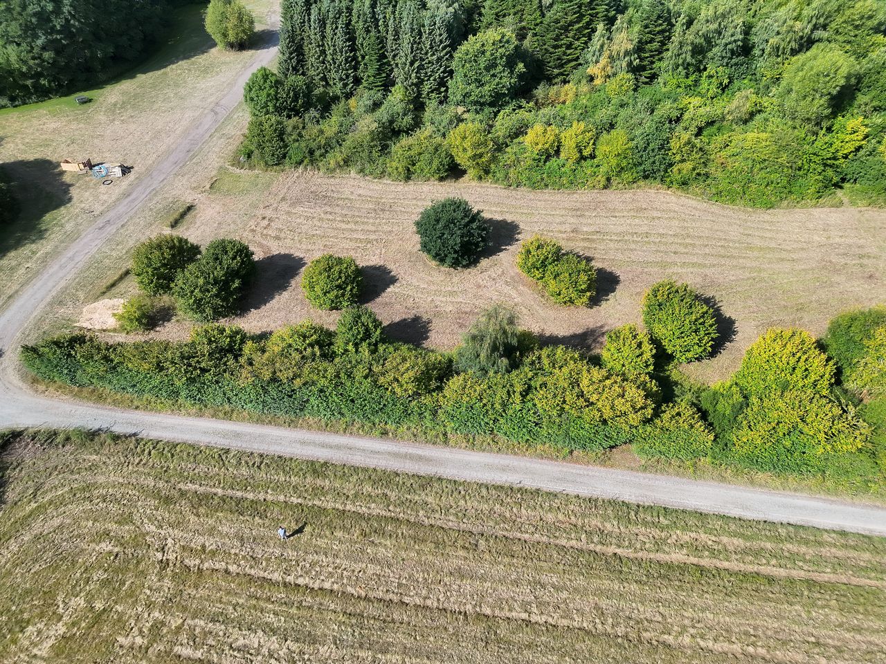 Markoverflyvning efter vildt